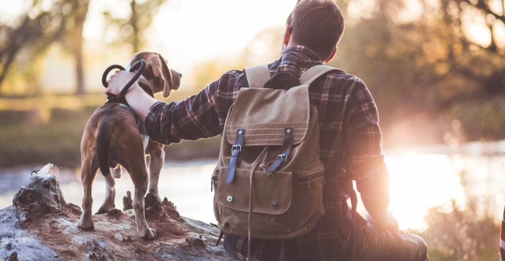 ¿Cuánta agua debe de tomar un perro para que sea saludable?