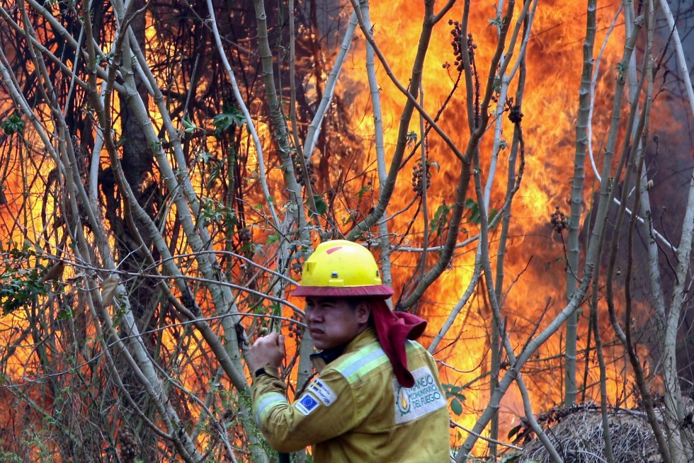 Un bombero trabaja apagando un incendio, el 13 de septiembre de 2024, en la comunidad de Palestina (Bolivia). EFE/ Juan Carlos Torrejón