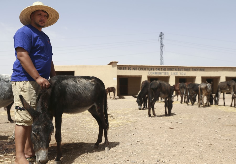 Refugio Jarjeer de Mulas y Burros ubicado al sur de Marrakech (Marruecos)