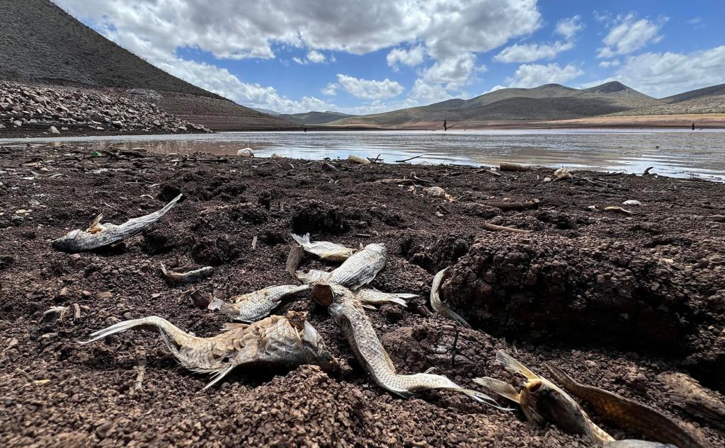 Presa se seca en Chihuahua ante una sequía que no cede en parte del país - sequia-en-presa-las-lajas-de-chihuahua-1024x633