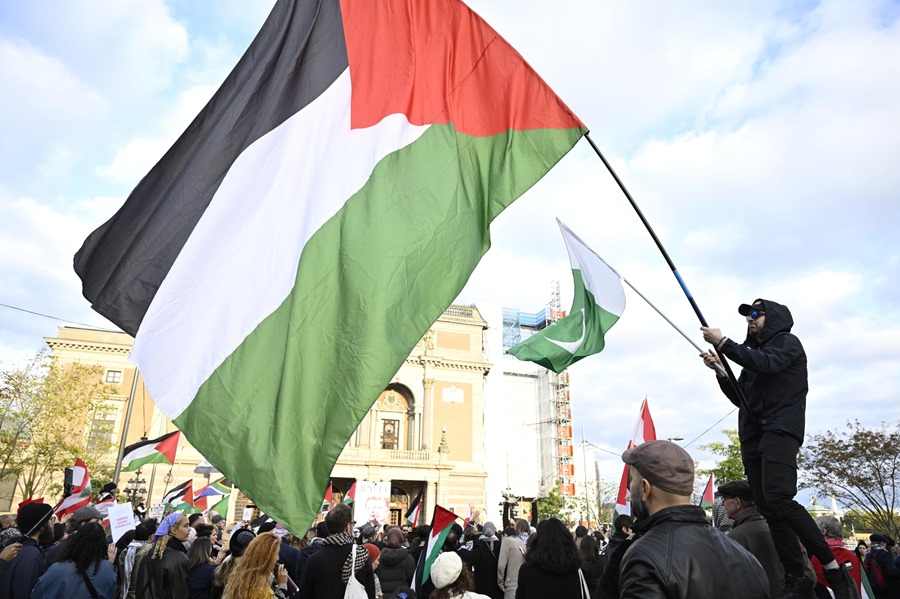 Manifestación en apoyo a Palestina y el Líbano