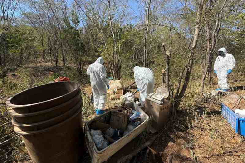 Marina neutraliza laboratorio clandestino en Sinaloa y erradica plantío de mariguana en Durango - el-espinal-culiacan-sinaloa-semar-laboratorio-clandestino-drogas-sinteticas-1024x683