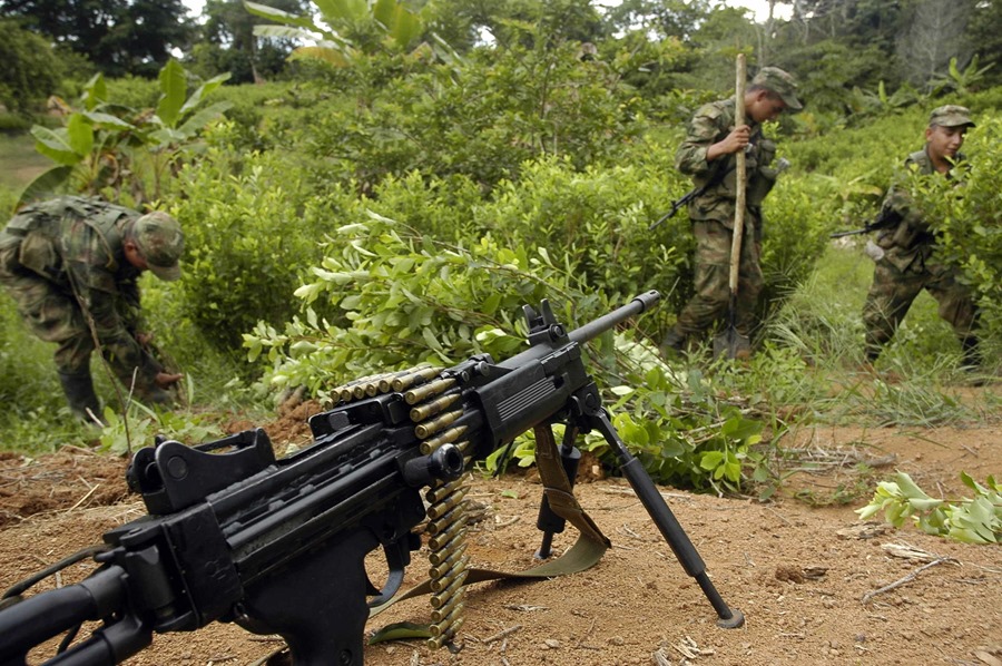 Soldados del Ejército de Colombia arrancan manualmente plantas de coca de un cultivo ilícito de la región del Catatumbo (Colombia), en una fotografía de archivo. EFE/Luis Robayo