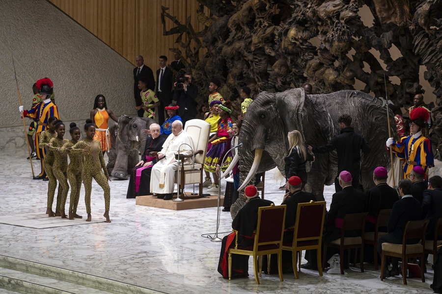 El Papa Francisco encabeza la audiencia general semanal en el Aula Pablo VI