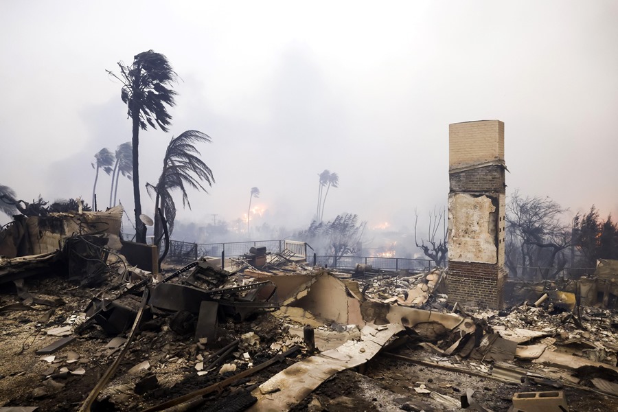 Vista de los daños causados por el incendio Palisades, cerca de Los Ángeles, California (EE.UU.), este 8 de enero de 2025. EFE/Caroline Brehman