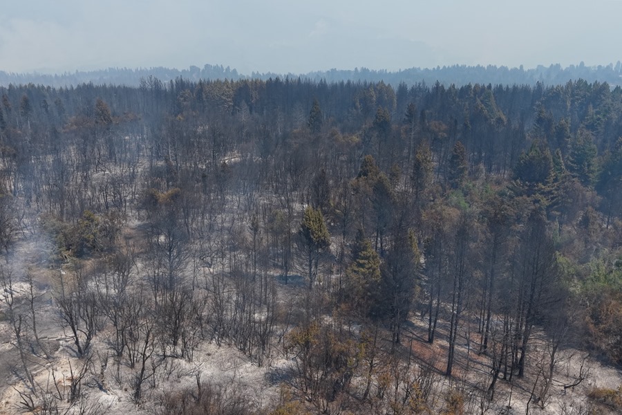 Argentina incendios