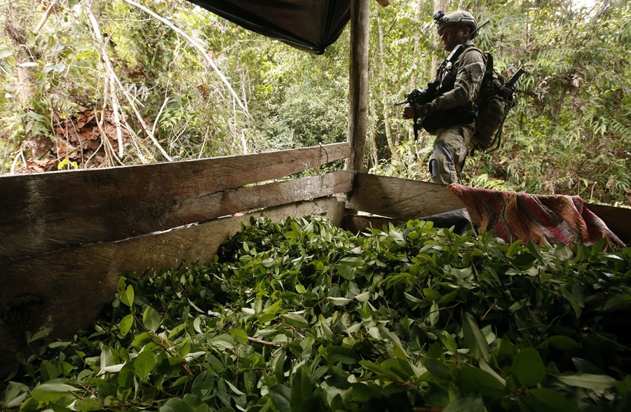 colombia_drogas Colombia no da por garantizada la certificación antidrogas que entrega EE.UU.