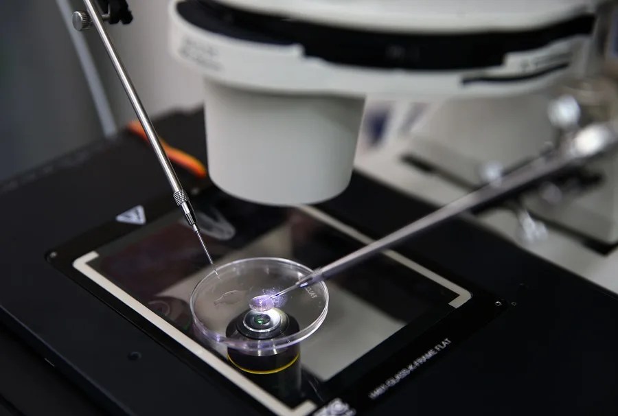 embriones-laboratorio Confusión de embriones en una clínica de Australia