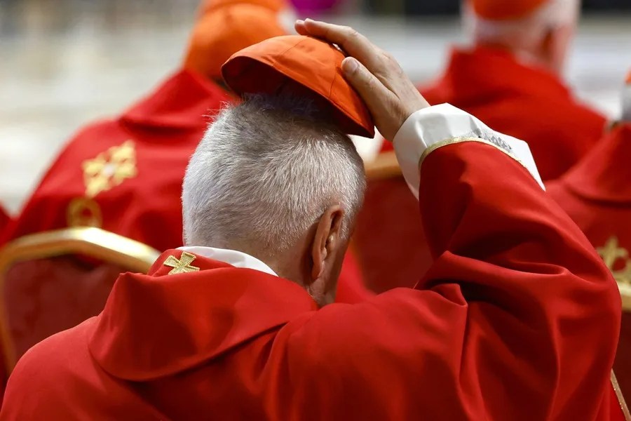 conclave-papa3 Vista de un cardenal que participa en un oficio religioso, el 30 de abril de 2025, en la Basílica de San Pedro, en el Vaticano. EFE/Fabio Frustaci