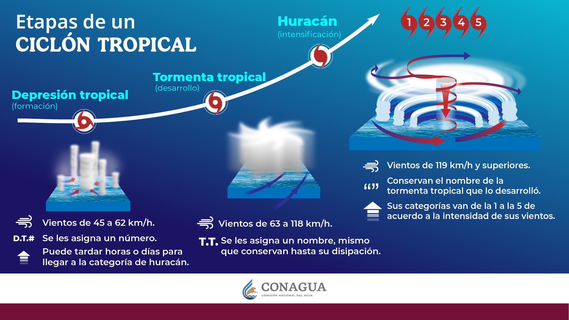 etapas-de-un-ciclon-tropical Surge la tormenta tropical 'Andrea' en el Atlántico, ¿afectará a México? - etapas-de-un-ciclon-tropical