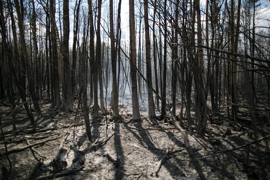 Canadá incendios