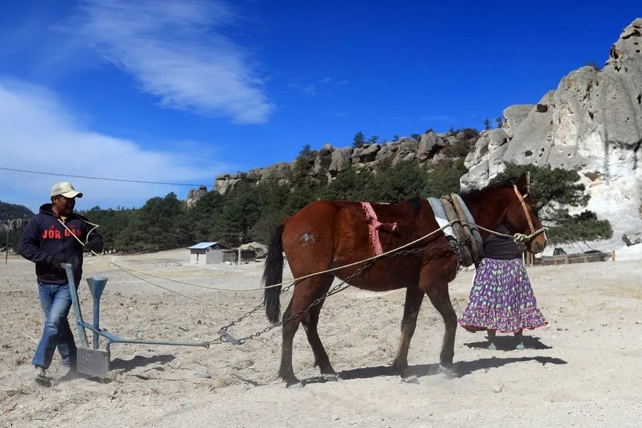 sequia_norte_mexico "Ya vamos para 25 meses", la prolongada sequía abrasa el norte de México